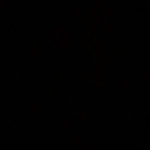 Meet your Posher, Kenna